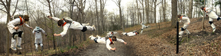 Illustration for article titled Shooting Challenge: Action Sequence
